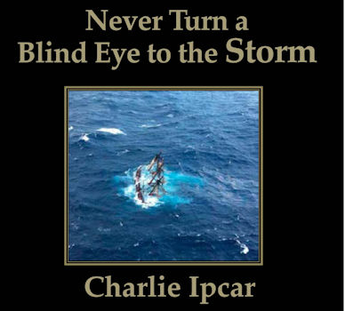 Cover of Never Turn a Blind Eye to the Storm