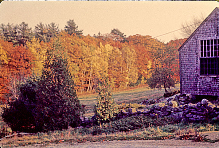 The photo is of the Lower Barn Field, Robinhood Farm, Maine, 1965, photographed by Charlie Ipcar.
