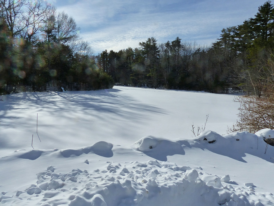 View of snow-covered field in front of Robinhood Farm in 2019.