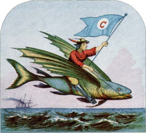 flying_fish.jpg - 33845 Bytes