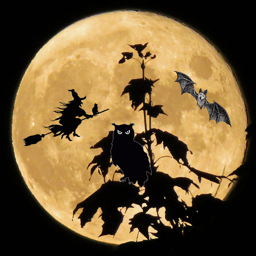 Halloween Night collage illustration created by Charlie Ipcar with photo of harvest moon by Judy Barrows, Graphic &copy; 2022, Ipbar Productions, all rights reserved.