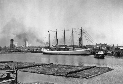 picture of logs boomed up in a harbor