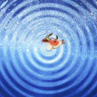 splash6.jpg - 13131 Bytes